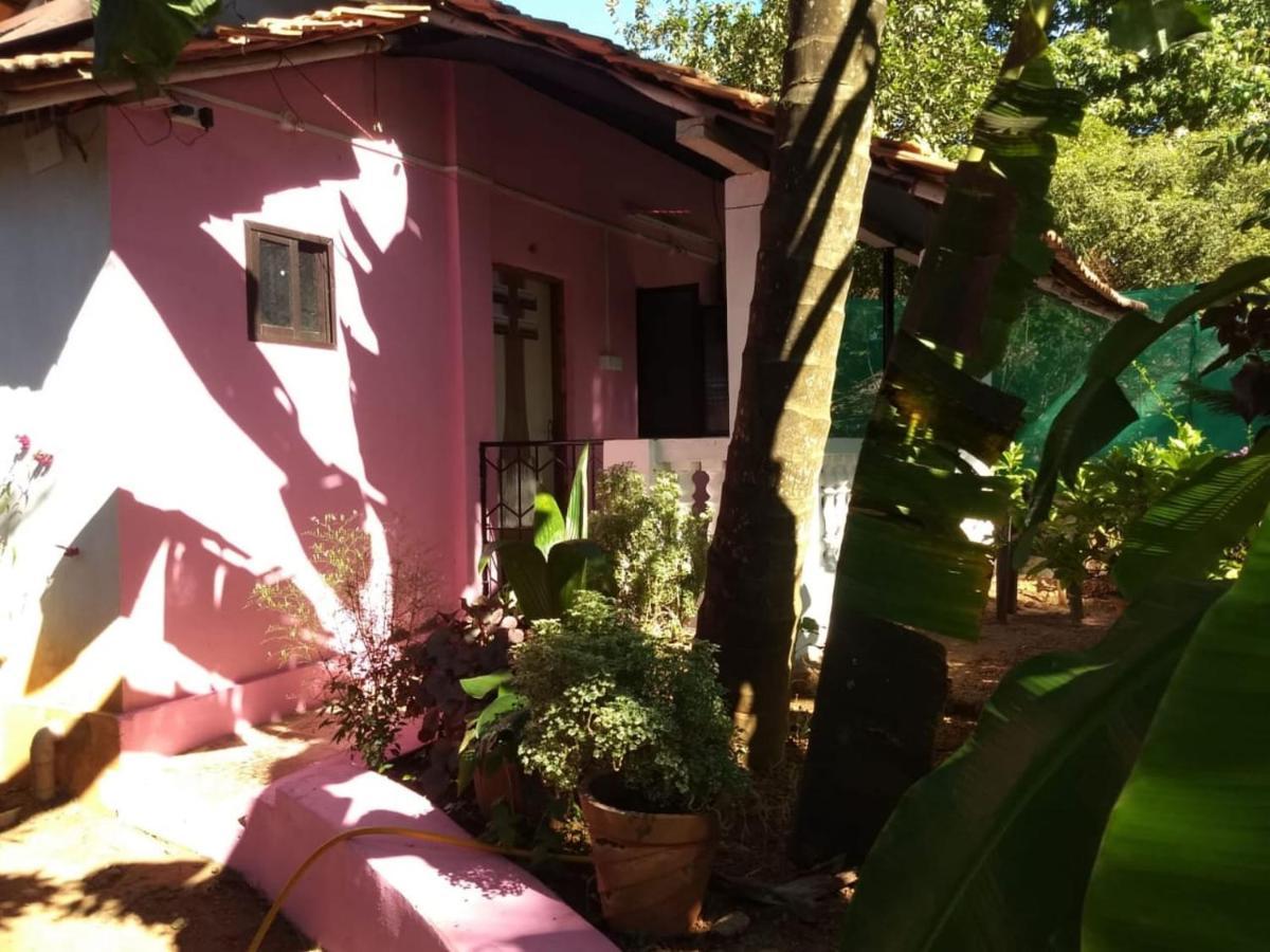 Apartment Agonda Pink House *